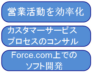 Force.com 開発